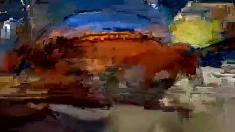 aj297914 online show from October 1, 2025, 3:34 am