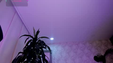 alaiaguerra online show from May 5, 2026, 8:06 pm