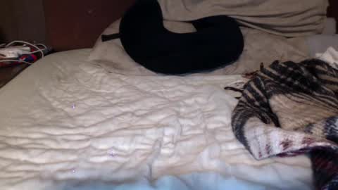 albertalbert9 online show from December 13, 2024, 7:25 am