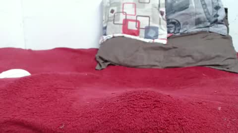 Snapshot of alburthon24 chatting on December 5, 2024, 4:12 pm Alex online show from December 5, 2024, 4:12 pm