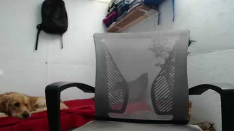 Snapshot of alburthon24 chatting on December 18, 2024, 4:06 pm Alex online show from December 18, 2024, 4:06 pm