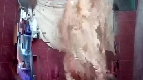 alejandrochao84 online show from October 5, 2025, 5:17 am