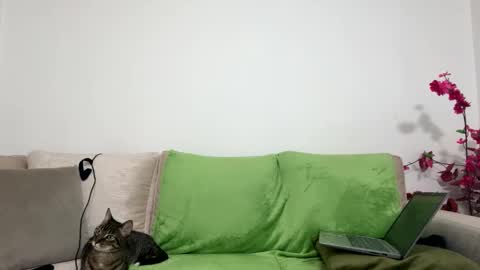 Snapshot of alejo__twinkboy chatting on January 30, 2025, 8:11 am alejo__twinkboy online show from January 30, 2025, 8:11 am