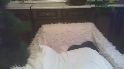 Snapshot of alenablack chatting on January 5, 2025, 3:00 am Luly online show from January 5, 2025, 3:00 am