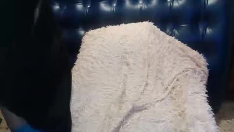 Snapshot of alenablack chatting on February 14, 2025, 1:02 am Luly online show from February 14, 2025, 1:02 am