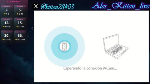 Ales Kitten Live online show from February 3, 2026, 3:48 am