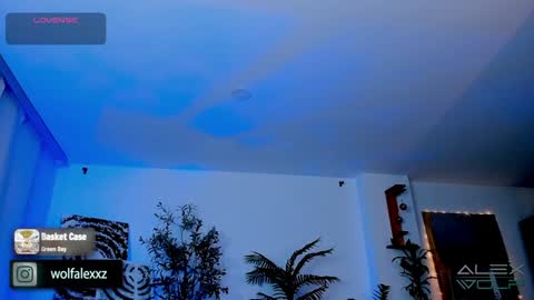 Snapshot of alex_wolf__ chatting on January 17, 2025, 5:21 am Alex Wolf online show from January 17, 2025, 5:21 am