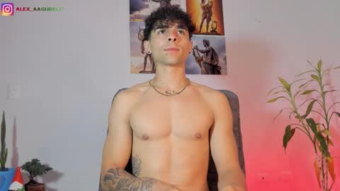 x   online show from February 20, 2026, 7:25 pm