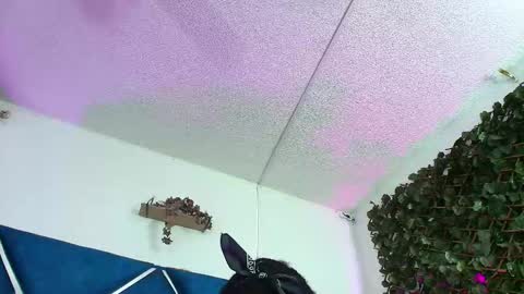 Snapshot of alexarousse4u chatting on March 27, 2026, 2:28 am Alexa online show from March 27, 2026, 2:28 am