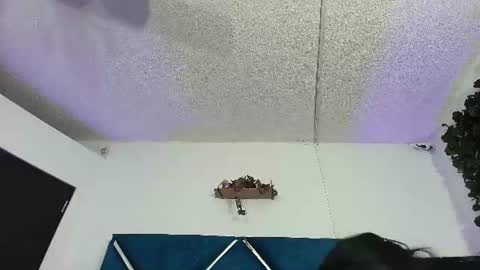 Snapshot of alexarousse4u chatting on June 13, 2026, 12:19 am Alexa online show from June 13, 2026, 12:19 am