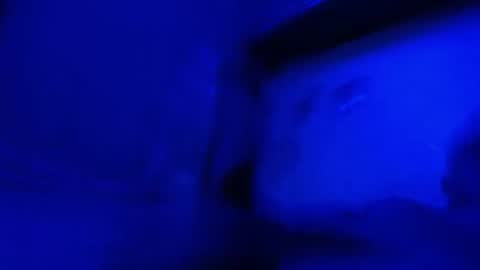 Snapshot of alexboy5014 chatting on May 17, 2026, 1:25 am alexboy5014 online show from May 17, 2026, 1:25 am