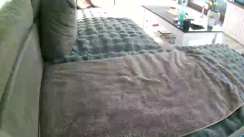 Doggystyle online show from January 10, 2026, 10:17 am