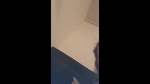 Snapshot of alexhowardc chatting on January 6, 2026, 10:12 pm alexhowardc online show from January 6, 2026, 10:12 pm