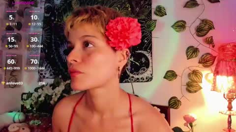 Alex online show from January 5, 2025, 12:52 am