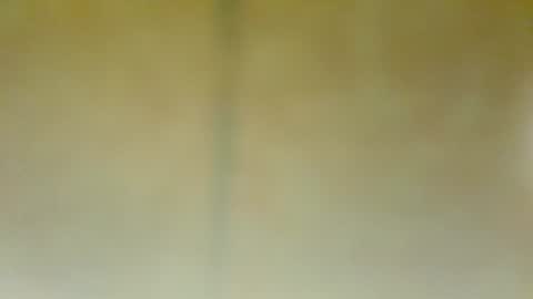 Alfonso Gomez online show from January 22, 2025, 5:28 pm