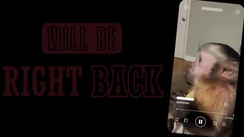 Sofia online show from March 2, 2026, 1:07 pm