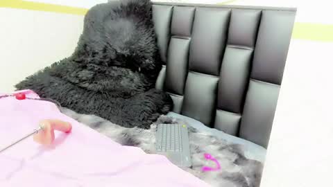 Snapshot of alicee_mature chatting on May 12, 2026, 9:45 pm alicee online show from May 12, 2026, 9:45 pm