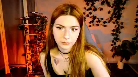 Alice online show from July 24, 2026, 5:16 am