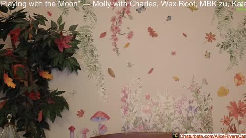 Snapshot of aliceriverscam chatting on January 10, 2025, 9:31 pm Alice Rivers ---- Enter my public Discord-  online show from January 10, 2025, 9:31 pm