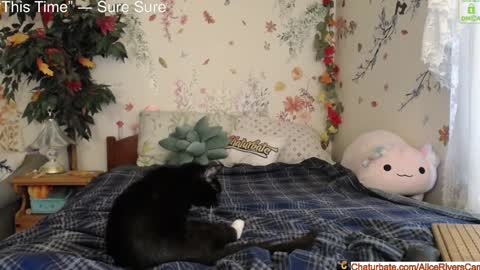 Snapshot of aliceriverscam chatting on January 18, 2025, 8:40 pm Alice Rivers ---- Enter my public Discord-  online show from January 18, 2025, 8:40 pm