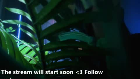 Alicia Lici  online show from December 2, 2024, 5:26 am