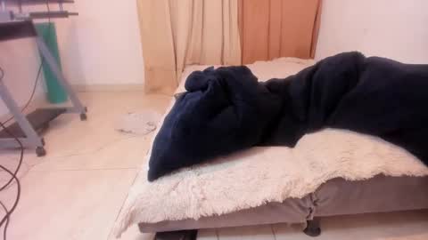 Alis 3 independent model 3 online show from February 7, 2025, 11:24 pm