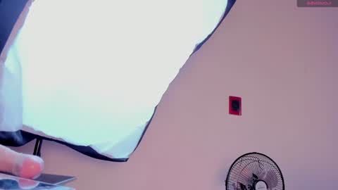 Alice online show from December 20, 2024, 12:49 pm