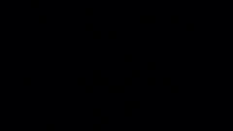     online show from February 19, 2026, 6:26 pm