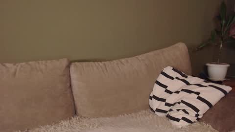 alisaxxxshy online show from February 3, 2026, 6:40 am