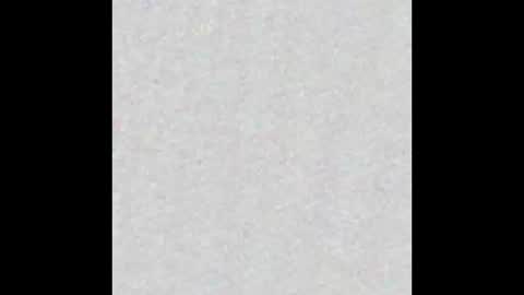 Alisse online show from November 11, 2025, 12:05 pm