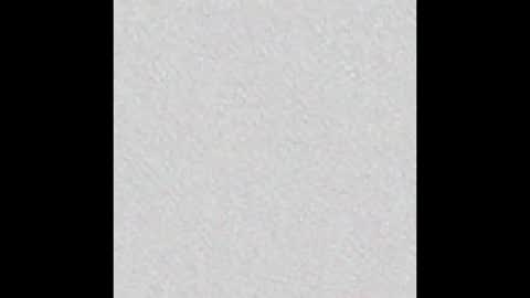 Alisse online show from December 19, 2025, 11:50 am