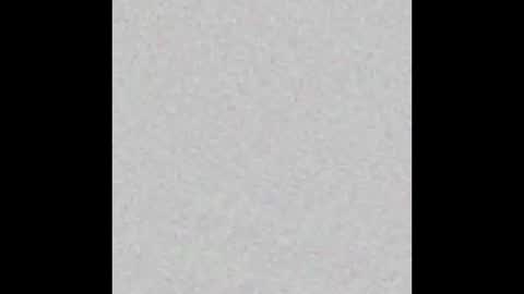 Alisse online show from February 26, 2026, 12:04 pm