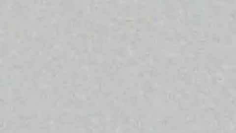 Alisse online show from July 9, 2026, 11:58 am