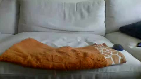 allbermy online show from June 12, 2026, 2:38 pm