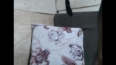 Allie online show from February 10, 2026, 11:14 am