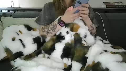alliebearx online show from April 28, 2026, 5:40 pm