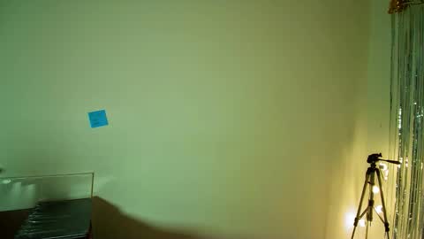 Snapshot of allisson_rose chatting on November 7, 2025, 4:45 am Alli online show from November 7, 2025, 4:45 am