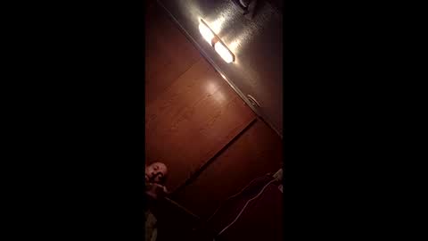 allister666pitfiend online show from February 13, 2026, 9:05 am