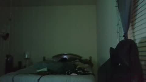 ally12334 online show from April 3, 2026, 1:14 am