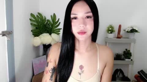 Snapshot of ally_monts chatting on November 29, 2025, 12:35 am ally_monts online show from November 29, 2025, 12:35 am