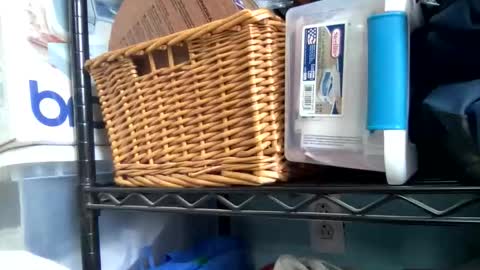 allyanalangel online show from January 5, 2026, 6:33 pm