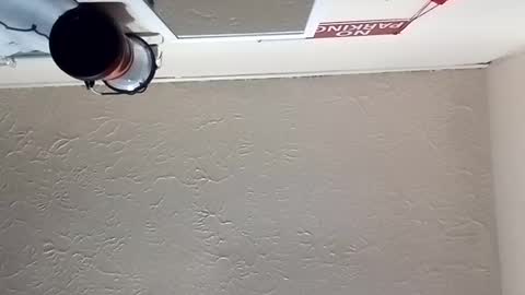 Snapshot of almightyjesos chatting on October 30, 2025, 7:14 pm almightyjesos online show from October 30, 2025, 7:14 pm