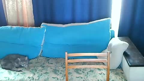 almirsex online show from June 28, 2026, 9:15 am