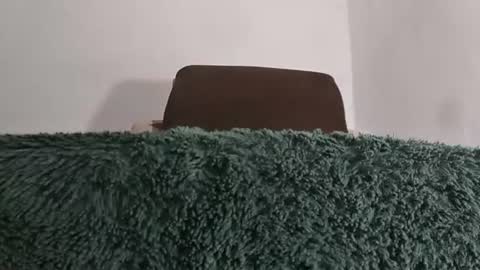 alotofcream4u online show from July 8, 2026, 5:56 am