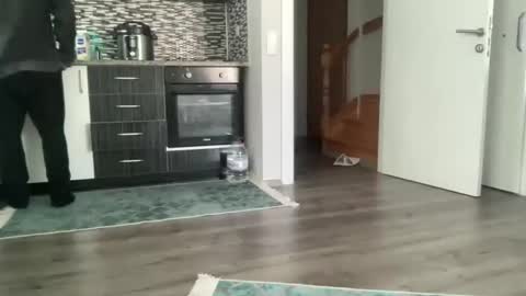 Snapshot of alphandre chatting on January 28, 2025, 6:27 am AlphAndre online show from January 28, 2025, 6:27 am