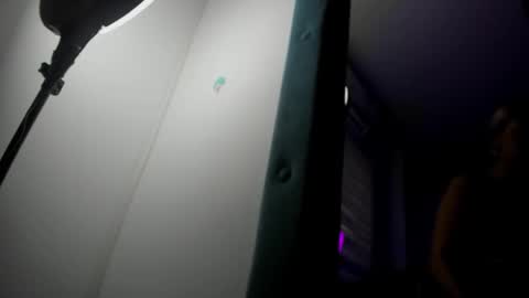 Snapshot of alterego1__ chatting on October 21, 2025, 11:33 am Alter  online show from October 21, 2025, 11:33 am