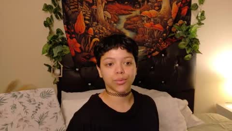         online show from September 25, 2025, 12:09 pm