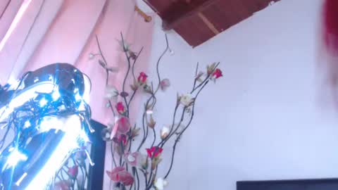   online show from February 19, 2025, 5:38 pm