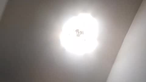 Petruss s Csabesztoo online show from January 17, 2025, 3:34 am