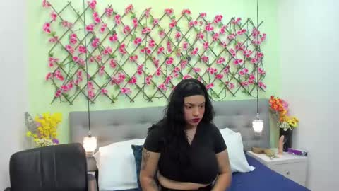 Snapshot of ambar85 chatting on November 22, 2025, 3:49 am ambar85 online show from November 22, 2025, 3:49 am